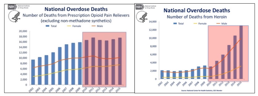 The Opioid Epidemic in 6 Charts Designed To Deceive You | American ...
